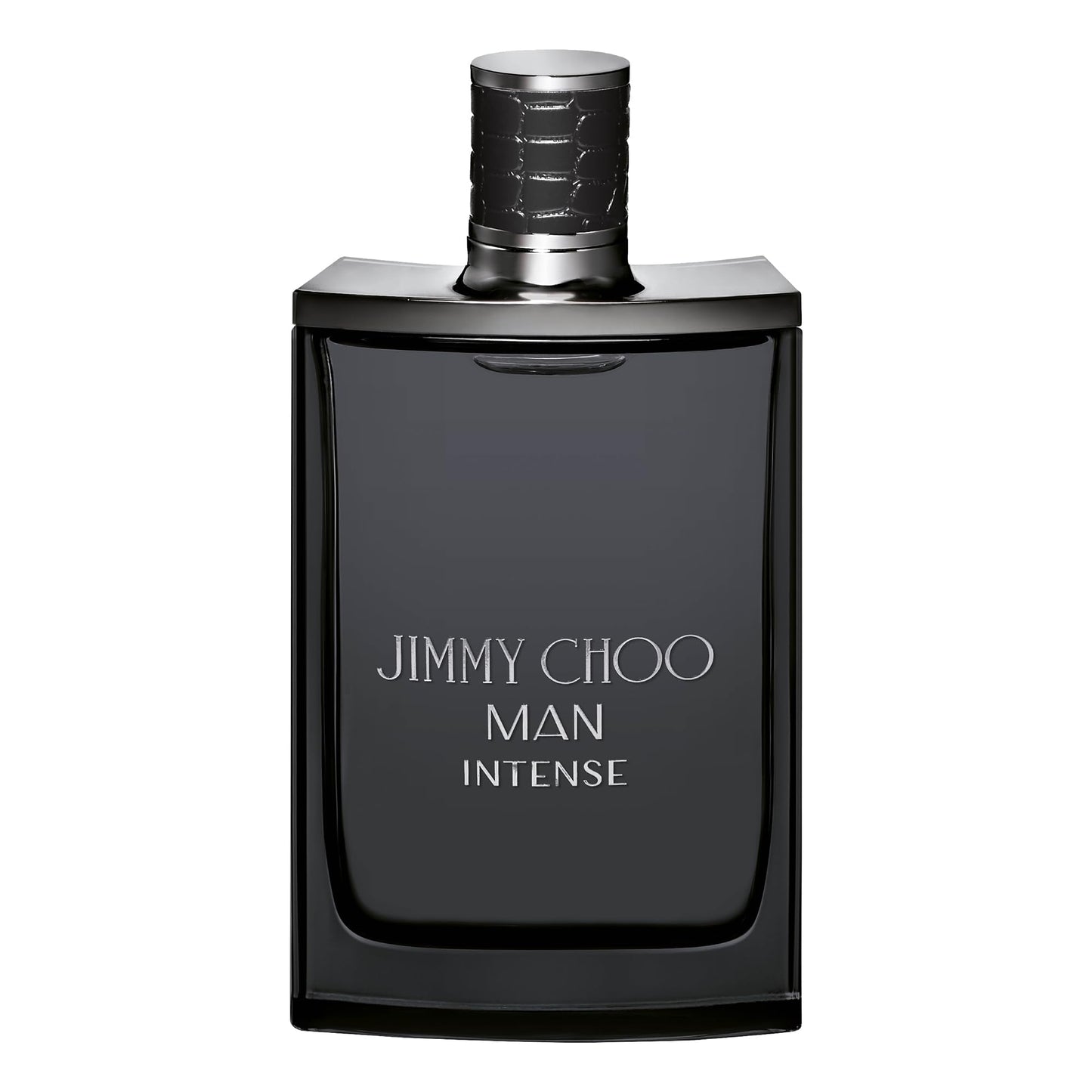 Jimmy Choo Intense 3.4 France Men's Fragrances Eau de Toilette Bold Woody Scent