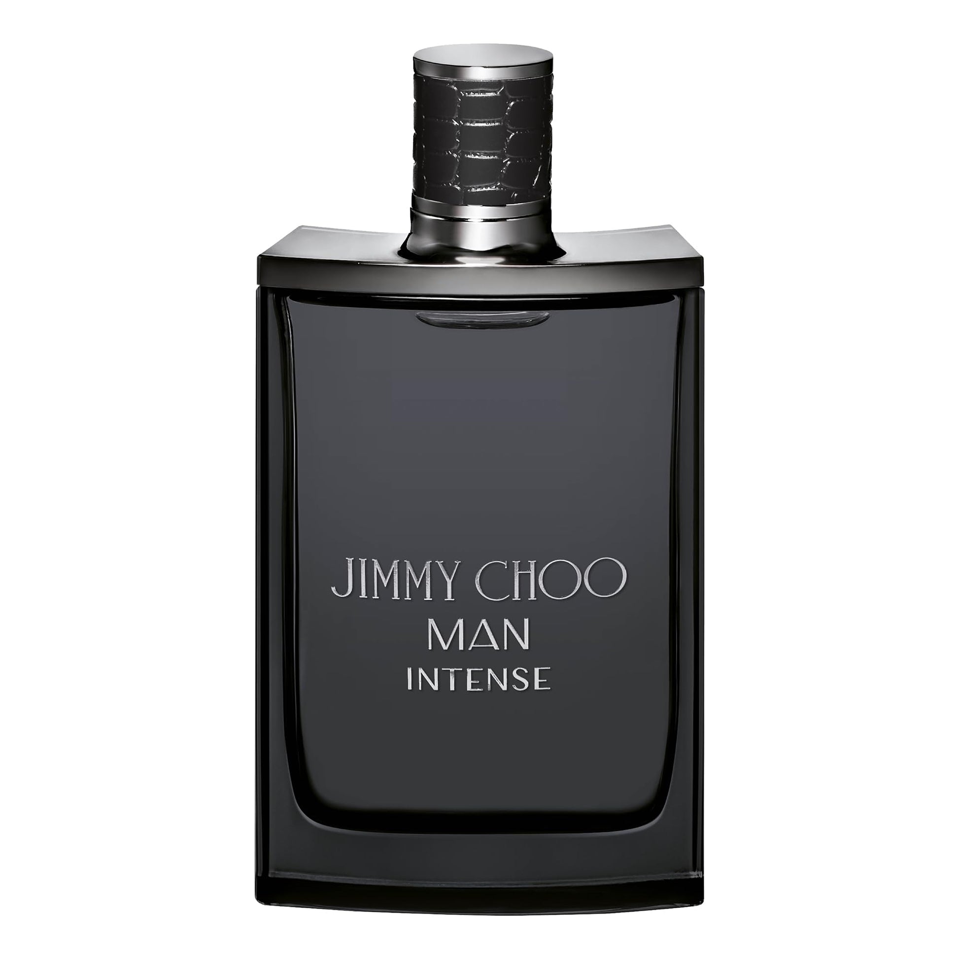 Jimmy Choo Intense 3.4 France Men's Fragrances Eau de Toilette Bold Woody Scent